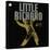 Little Richard - The Specialty Sessions-null-Stretched Canvas