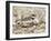 Little Ringed Plover (Charadrius Dubius) on the Edge of Gravel Pit, Hampshire, England, UK, April-Richard Steel-Framed Photographic Print