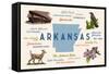 Little Rock, Arkansas - Typography and Icons-Lantern Press-Framed Stretched Canvas