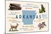 Little Rock, Arkansas - Typography and Icons-Lantern Press-Mounted Art Print