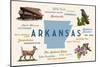 Little Rock, Arkansas - Typography and Icons-Lantern Press-Mounted Premium Giclee Print