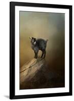 Little Rock Climber-Jai Johnson-Framed Giclee Print