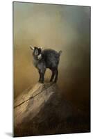 Little Rock Climber-Jai Johnson-Mounted Giclee Print