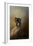 Little Rock Climber-Jai Johnson-Framed Giclee Print