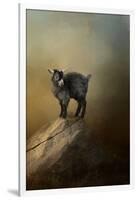 Little Rock Climber-Jai Johnson-Framed Giclee Print