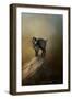 Little Rock Climber-Jai Johnson-Framed Premium Giclee Print