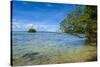 Little Rock Islet in the Famous Rock Islands, Palau, Central Pacific, Pacific-Michael Runkel-Stretched Canvas