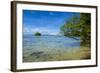 Little Rock Islet in the Famous Rock Islands, Palau, Central Pacific, Pacific-Michael Runkel-Framed Photographic Print