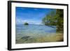 Little Rock Islet in the Famous Rock Islands, Palau, Central Pacific, Pacific-Michael Runkel-Framed Photographic Print