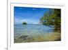 Little Rock Islet in the Famous Rock Islands, Palau, Central Pacific, Pacific-Michael Runkel-Framed Photographic Print