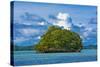 Little Rock Islet in the Famous Rock Islands, Palau, Central Pacific-Michael Runkel-Stretched Canvas