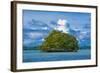 Little Rock Islet in the Famous Rock Islands, Palau, Central Pacific-Michael Runkel-Framed Photographic Print