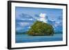 Little Rock Islet in the Famous Rock Islands, Palau, Central Pacific-Michael Runkel-Framed Photographic Print