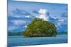 Little Rock Islet in the Famous Rock Islands, Palau, Central Pacific-Michael Runkel-Mounted Photographic Print