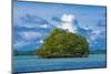Little Rock Islet in the Famous Rock Islands, Palau, Central Pacific-Michael Runkel-Mounted Photographic Print
