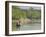 Little Rowing Boat in the Swampy Areas of the Sundarbans, UNESCO World Heritage Site, Bangladesh-Michael Runkel-Framed Photographic Print