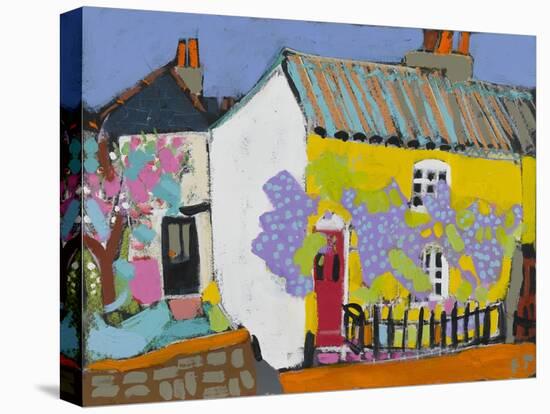 Little Royal Hill, 2010-Frances Treanor-Stretched Canvas