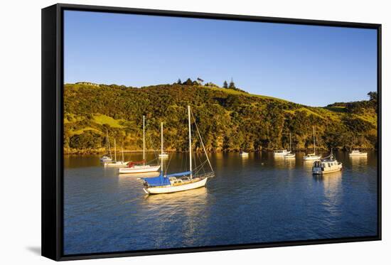 Little Sailing Boats in Matiata Bay on Waiheke Island-Michael-Framed Stretched Canvas