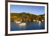 Little Sailing Boats in Matiata Bay on Waiheke Island-Michael-Framed Photographic Print
