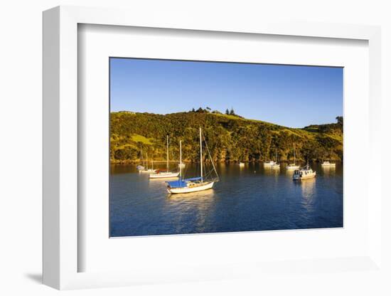 Little Sailing Boats in Matiata Bay on Waiheke Island-Michael-Framed Photographic Print