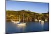 Little Sailing Boats in Matiata Bay on Waiheke Island-Michael-Mounted Photographic Print