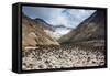 Little Sand Mounds on a Glacier Field on Mutnovsky Volcano, Kamchatka, Russia, Eurasia-Michael Runkel-Framed Stretched Canvas