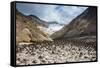 Little Sand Mounds on a Glacier Field on Mutnovsky Volcano, Kamchatka, Russia, Eurasia-Michael Runkel-Framed Stretched Canvas