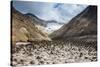 Little Sand Mounds on a Glacier Field on Mutnovsky Volcano, Kamchatka, Russia, Eurasia-Michael Runkel-Stretched Canvas