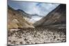 Little Sand Mounds on a Glacier Field on Mutnovsky Volcano, Kamchatka, Russia, Eurasia-Michael Runkel-Mounted Photographic Print