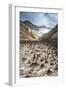 Little Sand Mounds on a Glacier Field on Mutnovsky Volcano, Kamchatka, Russia, Eurasia-Michael Runkel-Framed Photographic Print