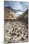 Little Sand Mounds on a Glacier Field on Mutnovsky Volcano, Kamchatka, Russia, Eurasia-Michael Runkel-Mounted Photographic Print