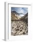 Little Sand Mounds on a Glacier Field on Mutnovsky Volcano, Kamchatka, Russia, Eurasia-Michael Runkel-Framed Photographic Print