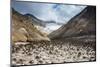 Little Sand Mounds on a Glacier Field on Mutnovsky Volcano, Kamchatka, Russia, Eurasia-Michael Runkel-Mounted Photographic Print