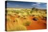 Little Sandy Desert Western Australia-null-Stretched Canvas