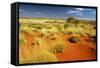 Little Sandy Desert Western Australia-null-Framed Stretched Canvas