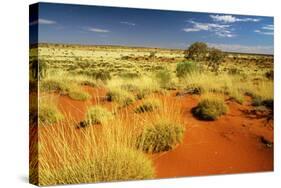 Little Sandy Desert Western Australia-null-Stretched Canvas