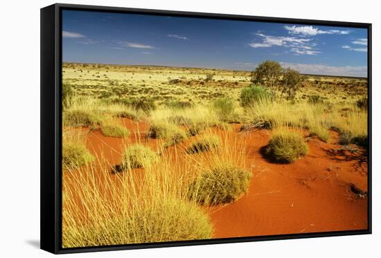 Little Sandy Desert Western Australia-null-Framed Stretched Canvas