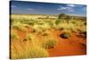 Little Sandy Desert Western Australia-null-Stretched Canvas