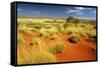 Little Sandy Desert Western Australia-null-Framed Stretched Canvas