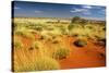 Little Sandy Desert Western Australia-null-Stretched Canvas