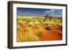Little Sandy Desert Western Australia-null-Framed Photographic Print