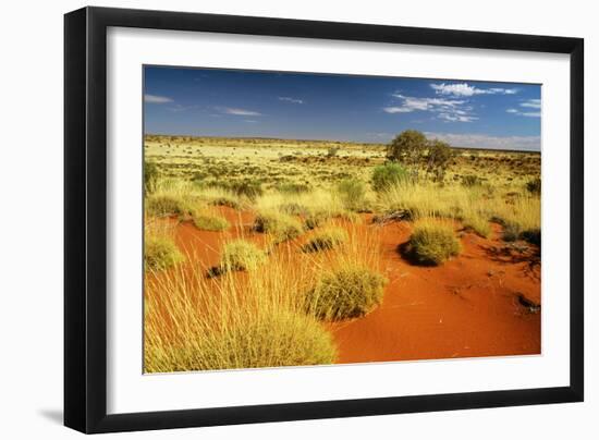 Little Sandy Desert Western Australia-null-Framed Photographic Print