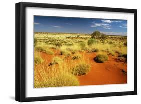 Little Sandy Desert Western Australia-null-Framed Photographic Print