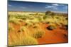 Little Sandy Desert Western Australia-null-Mounted Photographic Print