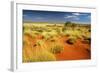 Little Sandy Desert Western Australia-null-Framed Photographic Print