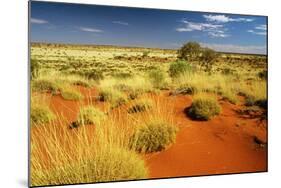 Little Sandy Desert Western Australia-null-Mounted Photographic Print