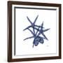 Little Scallops-Albert Koetsier-Framed Premium Giclee Print