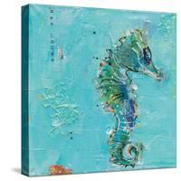 Little Seahorse Blue-Kellie Day-Stretched Canvas