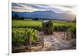 Little Shed, Napa Valley, California-George Oze-Framed Photographic Print