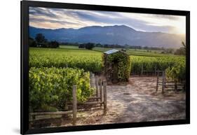 Little Shed, Napa Valley, California-George Oze-Framed Photographic Print